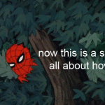 spider-meme-7_large