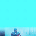 The shield