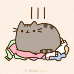 cat1