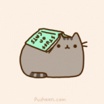 cat4