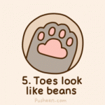 toes