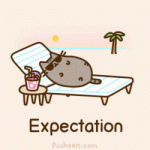 expectation vacations