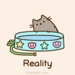 reality vacation