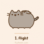flight
