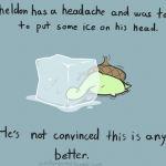 sheldon