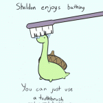 sheldon