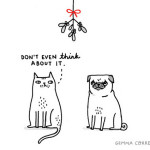 Gemma Correll