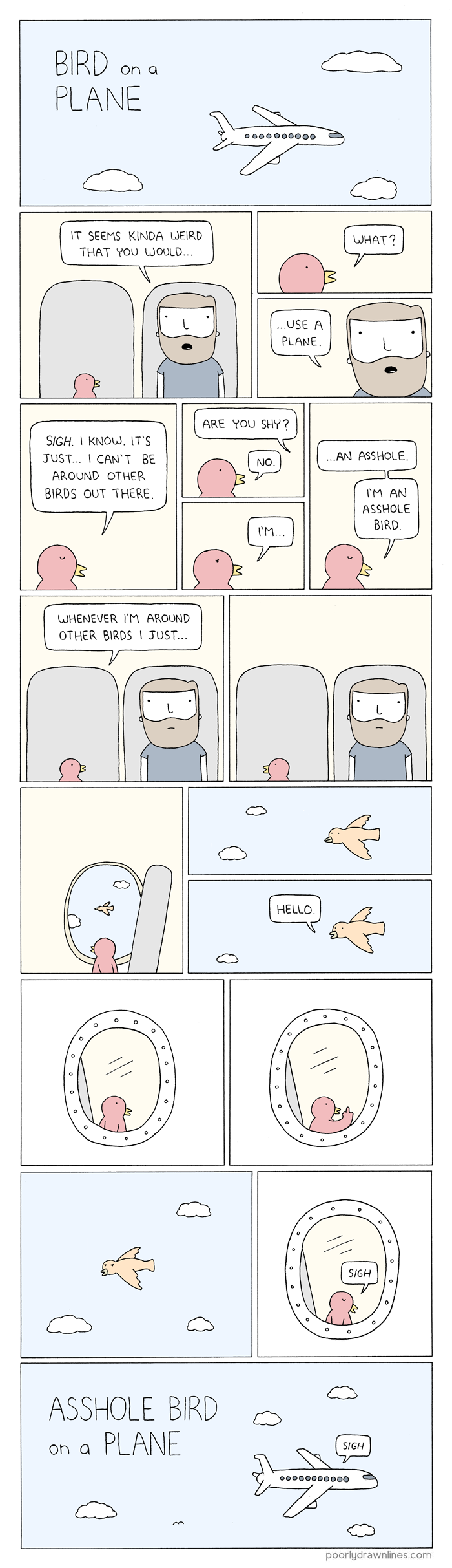 bird-on-plane