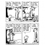CALVIN