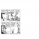 Calvin and hobbes