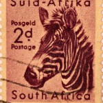 zebra-mammal-postage-stamp-6