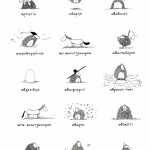 hedgehog-types