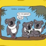 koala