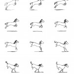 more-gallop-per-horse