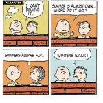peanuts